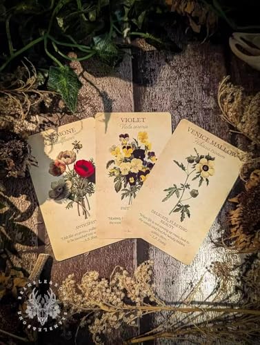 ANBOSI Botanical Inspirations Deck (Without Guidebook) | Tarot Oracle with 44 Cards | Traditional Standard Tarot Oracle Cards for Fortune Telling and Divination (Botanical Inspirations Deck)