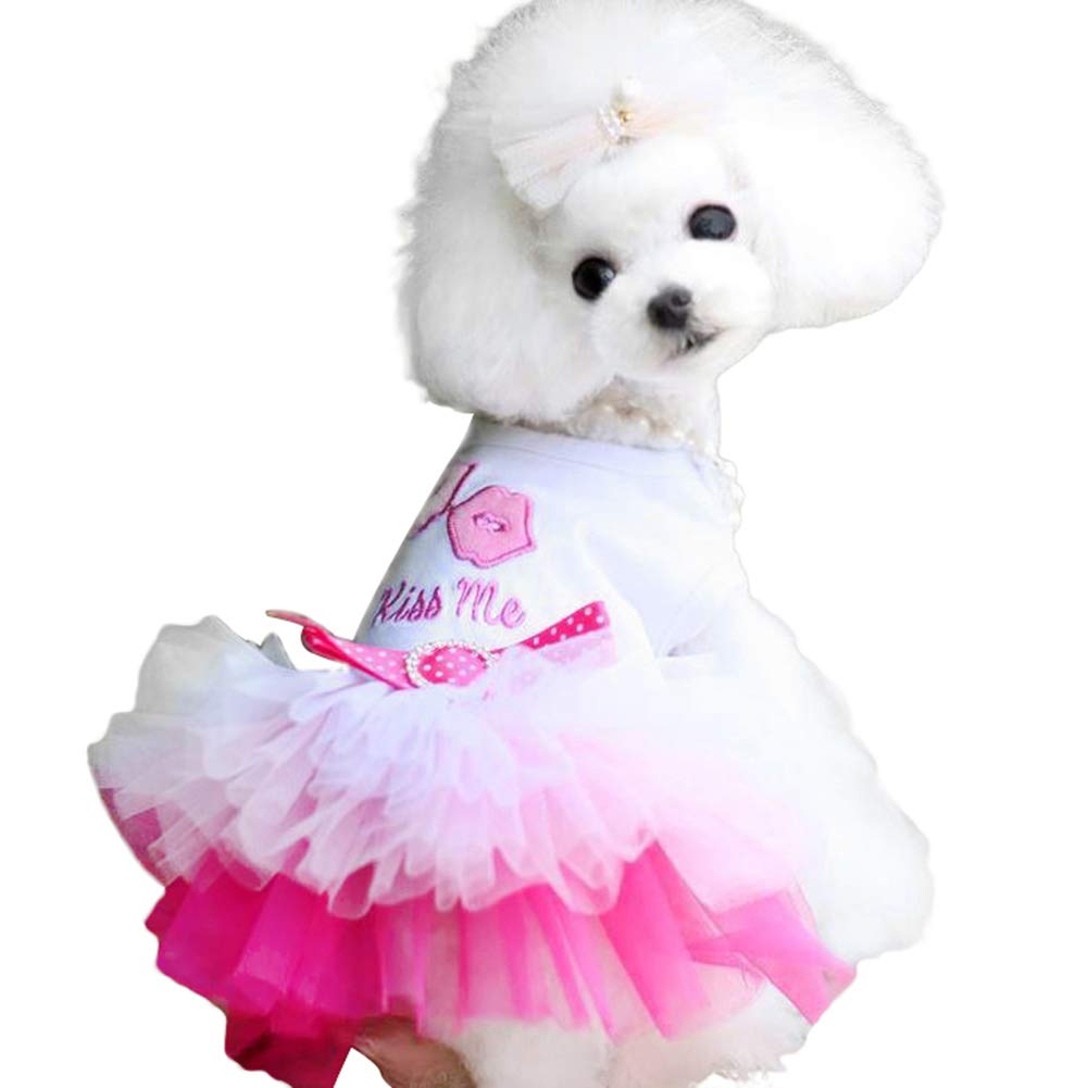 Blackzone Summer Pet Dog Puppy Lip Dress Clothes T-Shirt Breathable Lace Costume Pink M