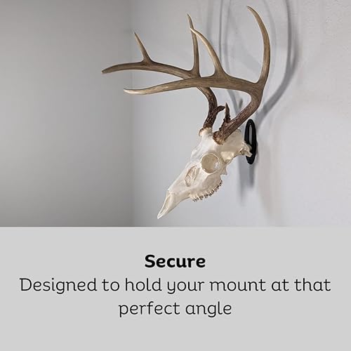 Miniatura 6 de Kabash Outdoors - Colgador de cráneo de montaje europeo fácil - Fabricado en los Estados Unidos con acero americano - Sistema de montaje de gancho