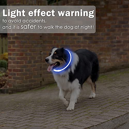 Coolzon LED Leuchthalsband Hundehalsband Aufladbar, Wasserdicht Halsband Hund 3 Modi, Leuchtband Hund Halsband Längenverstellbareres Super Helle Kalsband Katze und Hunde Klein Groß Mittel, Blau