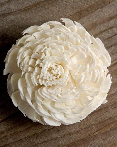 Richland Sola Flowers 2-2.5" Cream White Chorki Set of 72