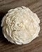 Richland Sola Flowers 2-2.5" Cream White Chorki Set of 12