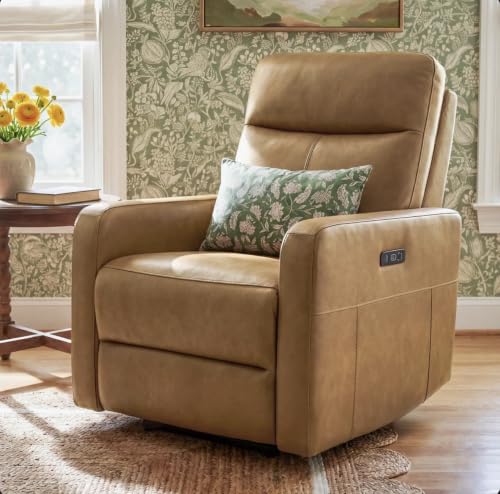 Image of Recliner Single Seater Sofa for Living Room and Bedroom Lounge