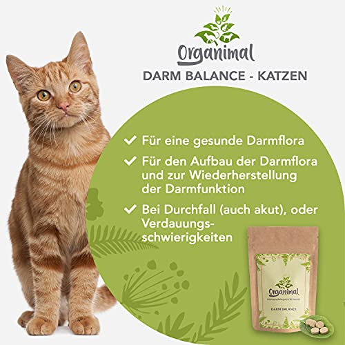 Probiotika für Katzen – Organimal Darm Balance Kautabletten