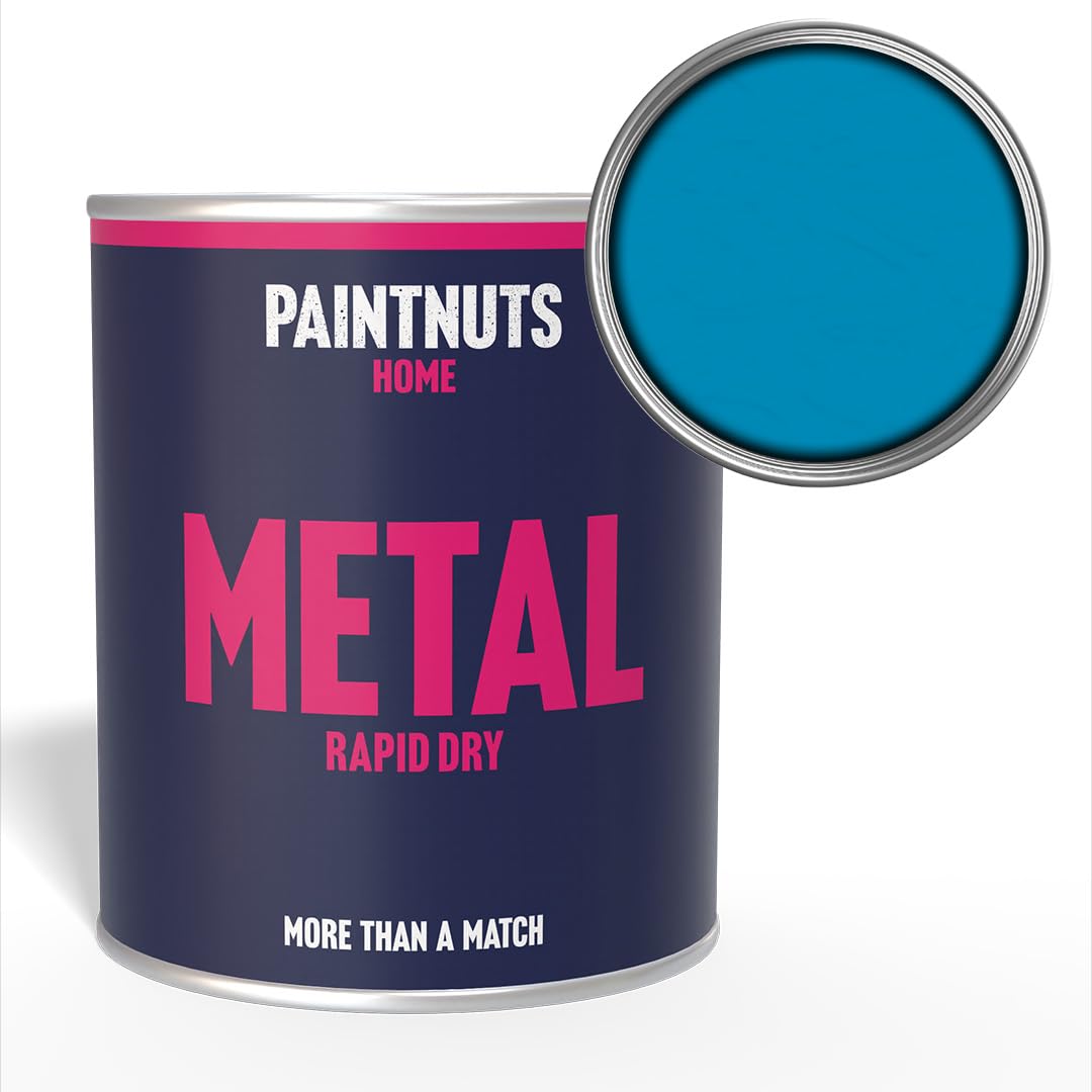 PaintNuts Light Blue Rapid Dry Metal Paint - Quick Drying, Versatile Finish – Ideal for Railings, Gates, Metal Furniture, Trailers, Garage Doors, Light Fixtures and More - 250ml - Gloss