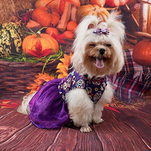 Gyuzh Halloween Dog Dress Puppy Dresses Pumpkin Bat Skull Dresses For Dogs Halloween Pet Puppy Dog Cat Dress Costume For Small Dogs Cats #TOP4