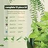 Indoor Herb Garden Starter Kit - Coolest Gifts for Women - Birthday Gifts for Her - House Warming Gift New Home for Plant Lovers - Womens, Wife, Mom Gifts - House Plants- Gardening Herbs Plants Live #5