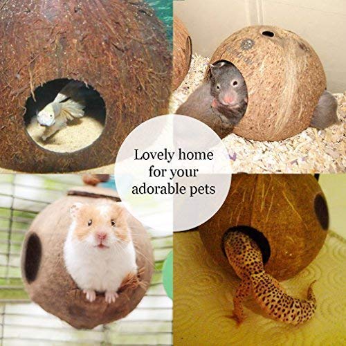 Kokosnuss-Vogelhaus Mit 3 Eingängen – Nistkasten & Spielhaus Für Vögel, Hamster & Kleintiere