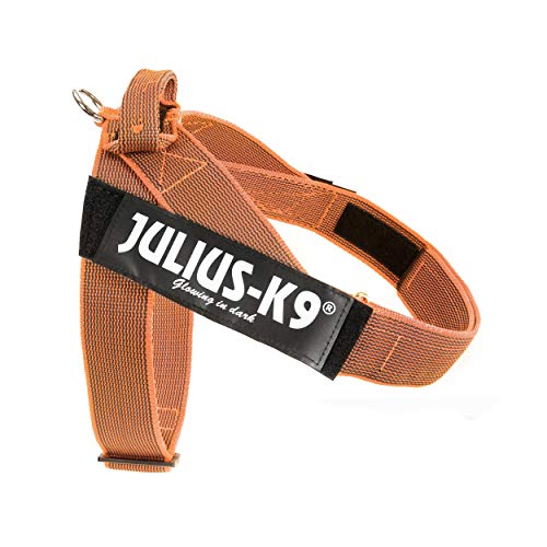 Julius-K9, IDC Color & Gray Belt Harness, Size: XL / 2, Orange-Gray