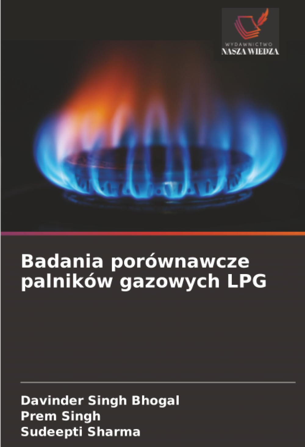Badania porównawcze palników gazowych LPG