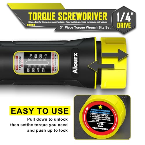 Aiourx Torque Screwdriver Set 10-80 in.lb