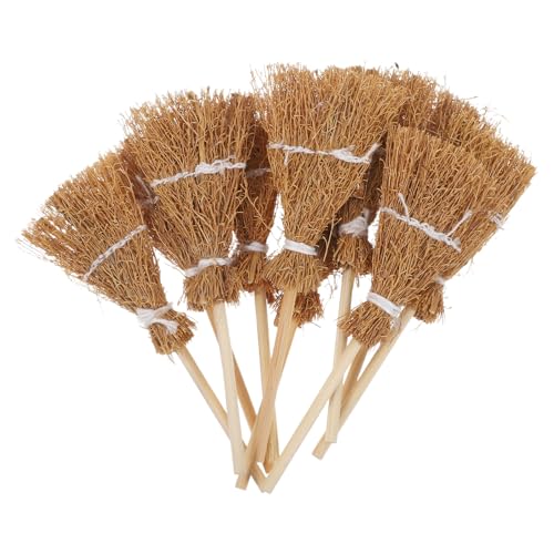 EXQUIMEUBLE 10nEB EBb`قwANbv ~jقwAs fB[Xp  ob^ RXv p[eB[ tFXe