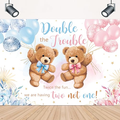 Double the Trouble Twice the Fun Decorations It's Twins Backdrop 5x3ft