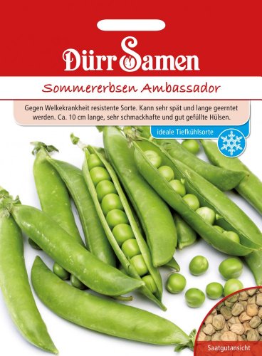 Dürr-Samen Sommererbsen Ambassador