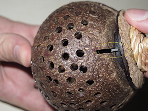 Thai Natural Goods New Wooden Hanging Lamp Made of 7 Coconut Shell, Night Light Wood Shades Handmade