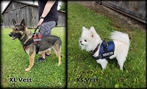 Activedogs Service Dog Harness Kit - L Blue + Registered Service Dog Id + Bridge Handle + Ada Cards + Travel Tag #TOP1