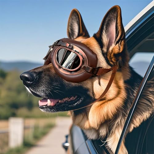 FOSDICK 1Pcs Retro Hundebrille, Brille Hund UV-Schutz, Winddicht Hunde Brille, Sonnenbrille Hund mit Verstellbare Riemen, Hundesonnenbrille für Mittel Große Hunde, zum Autofahren,Outdoor-Aktivitäten