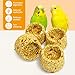 PINVNBY 3 PCS Parrot Treats Natural Oats & Corn Flakes Cockatiel Treats Bowl Shape Budgie Snacks Edible Bird Chewing Toys for Parrots Parakeet Conure Lovebird Finch Canary