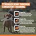SportDOG White Plastic Dummies - Durable Soft Plastic Retriever & Hunting Bumper Training Accessory - Non-Toxic Weatherproof Material - High-Visibility Color