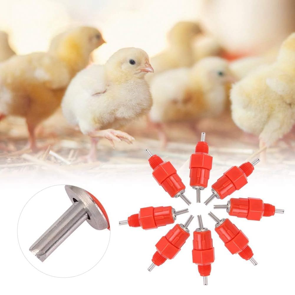Bebedero automático para aves y gallinas, 10 unidades