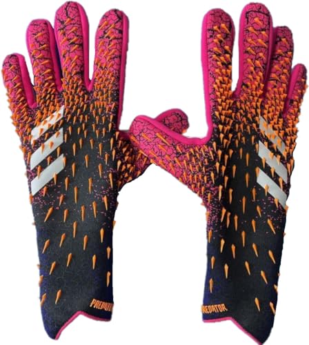 [AfB_X] GKO[u vf^[ v PC 12 ubN/VbNsN(GK6182) 14895