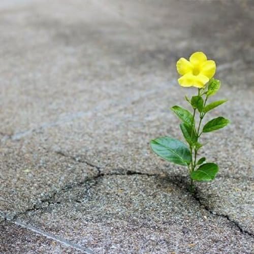 Don't give up, Hope is Possible!