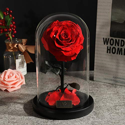 A Surprised Red Fresh-Keeping Rose, Blooming Beautiful and Elegant in the Glass Cover, Valentine\'s gift, Birthday Present, Mother\'s Day gift, Perfect Eternal Flower For The Person You Like - Thumbnail 7