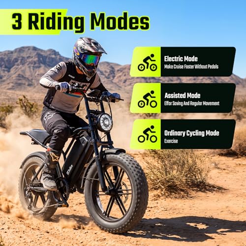 Image of TS TST GRP LLC Electric Bike for Adults with 48V 15Ah Removable Battery