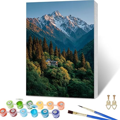 �������G �z���t�� �X�m�[�}�E���e��, ���G �L�����o�X ��, DIY Paint by Numbers for Adults �܂� �A�N�����y�C���g������ �u���V, �����h��G �y�C���g�o�C�i���o�[, �K�؂� ��l ���S��, �z�[�� �I�t�B�X����, �M�t