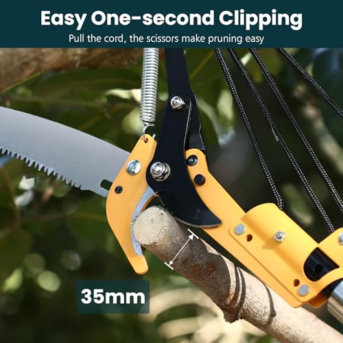 Image of Manual Pole Saws for Tree Trimming 27 FT, Tree Trimmer Long Handle Pruner with Thickened Saw Blade and Scissor, Palm Tree Trimmer for Backyard and Garden, Branch Cutter Pole Saw