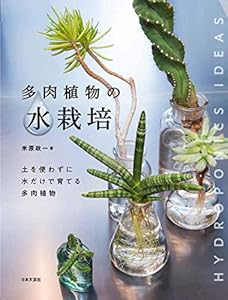 多肉植物の水栽培
