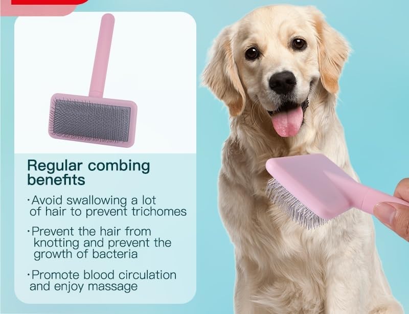 Brosse à Poils de Chien, Outil de toilettage Efficace for Un Pelage Bien entretenu, Brosse for Animaux de Compagnie, Brosse à Poils de Chien Efficace(Black)