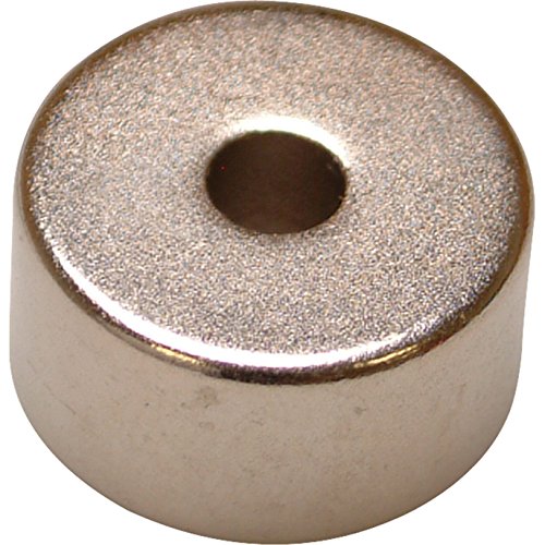 E-Magnets 650 Magneti a disco, al neodimio, 19 mm