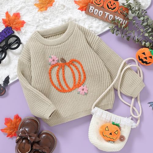 Toddler Baby Girls Ribbed Knit Pullover Sweater Classic Pumpkin Floral Embroidery Long Sleeve Oversized Tops4