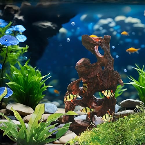 Image of Natural Wood Aquarium Cave Betta Fish Hideout for Aquarium Fish Tank Decorations-Reptile Hide-Snake Hide-Cave for Cichlids Habitat Shelter for Crayfish Shrimp and Other Aquatic Pets 6.1-9.8 inch