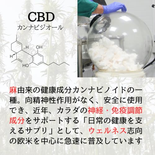 CBD Library 濃いCBDオイル 4000mg 10ml