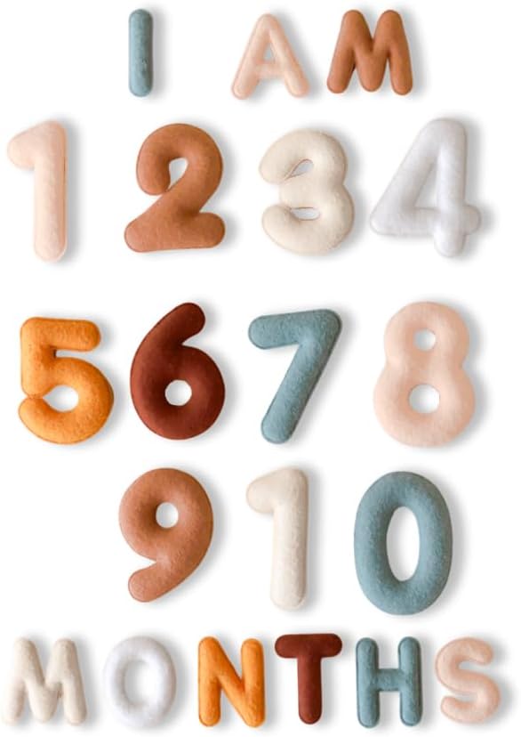 Monthly Milestone Felt Numbers – Photo Prop Newborn Markers – Great Gift for Baby Shower – Age Display – Neutral