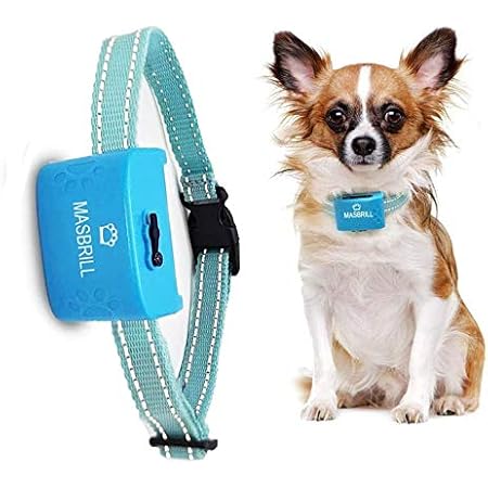 safe dog training collars