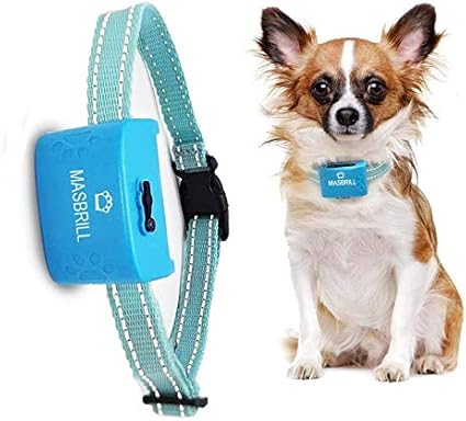 dog training shock collar amazon