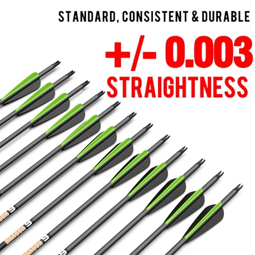 Image of sanlida 100% Pure Carbon Hunting Arrows, Olympic-Grade 10 Spines Deflection (Unique), 0.001 inch /0.003 inch /0.006 inch Straightness, Buy 12 Get 12 Free /Buy 6 Get 6 Free, for Compound & Recurve Bows (12 /24PCS)