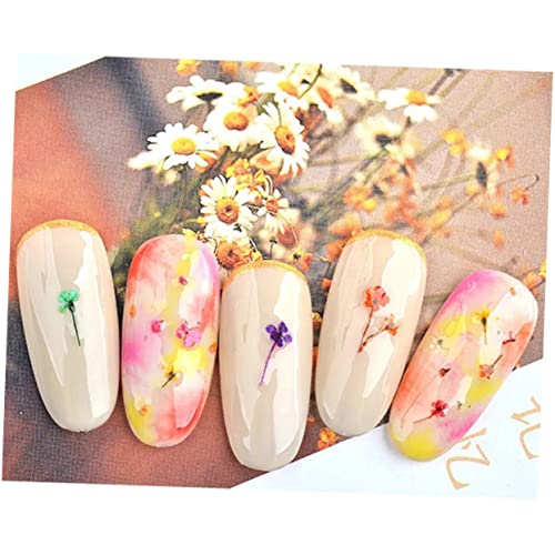 FRCOLOR 3 Caixas Adesivos De Flores Secas Prensadas Naturais Acessórios De Resina De Flores Secas Fl