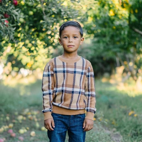 Image of Hope & Henry Boys' Long Sleeve Crew Neck Pullover Sweater