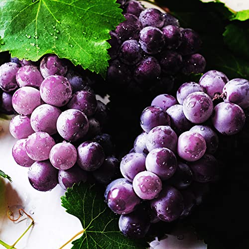 Can You Grow Grapes From Store Bought Grapes? Garden Super Power