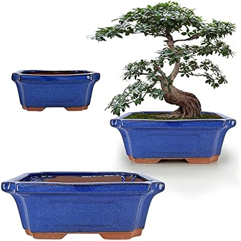 MUZHI Ceramic Bonsai Planter Set Cover