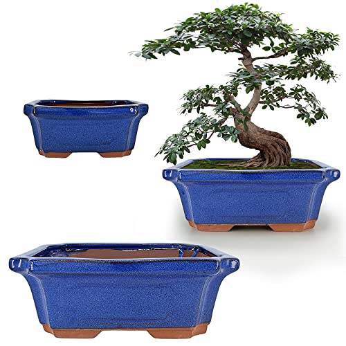 MUZHI 3 Pack Ceramic Rectangular Bonsai Tree Planter Pot Set 6&rdquo;+7&rdquo;+9&rdquo;, Cactus Succulent...