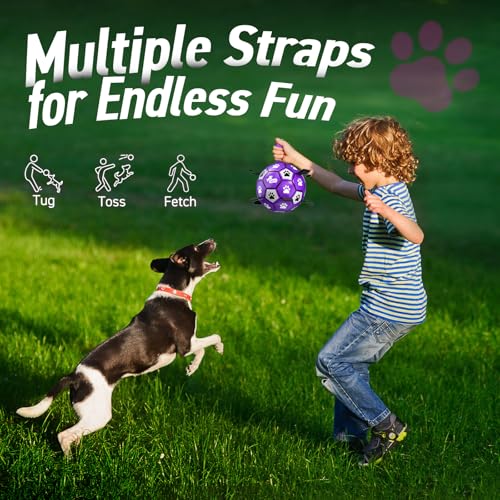 Image of QDAN Soccer Ball for Dogs with Straps, Large Dog Balls, 8 Inch Puppy Toys | Outdoor Herding Balls for 30-90 lbs Dogs, Interactive Soccer Toy for Interactive, Dog Ball Toy to Keep Them Busy, Purple