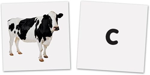 Miniatura 3 de Learning Resources Letras magnéticas de doble cara (LER3545)