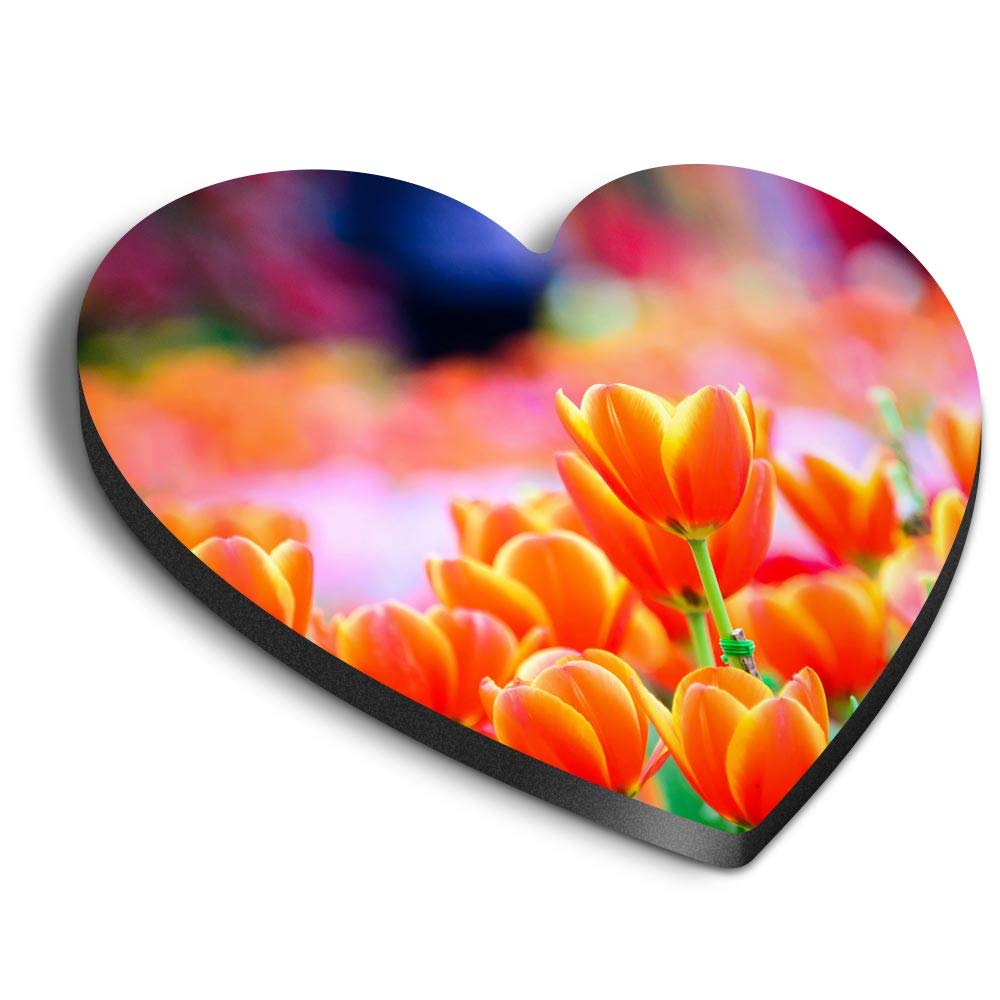 Destination Vinyl Ltd Multicolor 1 X Heart Mdf Magnets - Pretty Tulip Flowers 2342-2