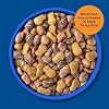 9Lives Daily Essentials Dry Cat Food, 20 Pound Bag
