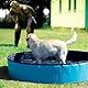 Pool für Hunde und Katzen, 160 x 30 cm, Harter Pool für den Innen- und Außenbereich, rutschfest und faltbar, aus strapazierfähigem PVC-Material, in Rot und Blau